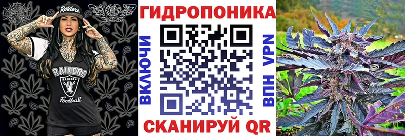 Где продают наркотики Карабаново A-PVP ГАШ Бошки Шишки