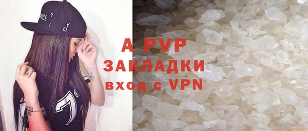 PSILOCYBIN Беломорск