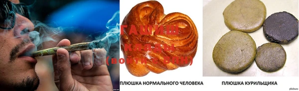 дмт Богородицк