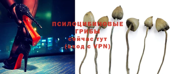 дмт Богородицк