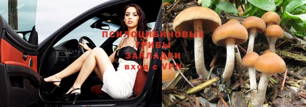 PSILOCYBIN Беломорск