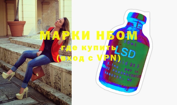дмт Богородицк