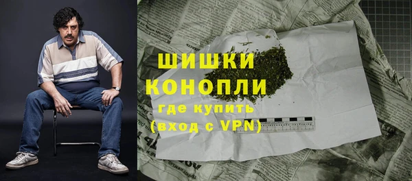 дмт Богородицк