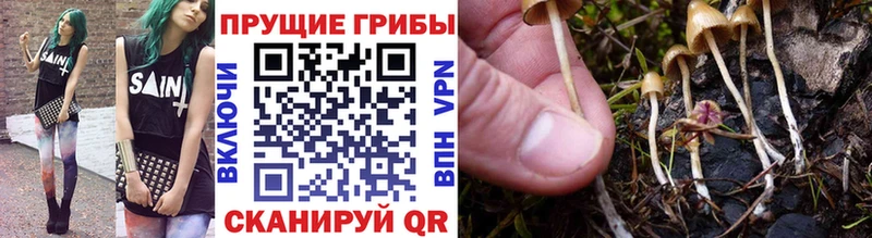 Галлюциногенные грибы MAGIC MUSHROOMS  Карабаново 