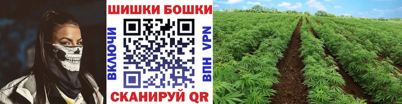 МАРИХУАНА White Widow  Карабаново 